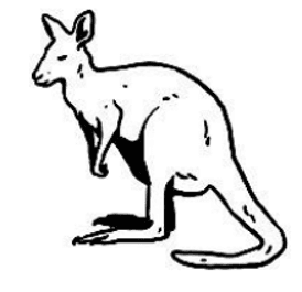 कङ्‌गारु