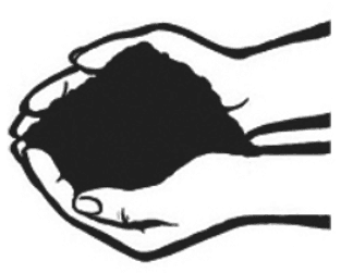 अँजुलीमा रहेको माटो