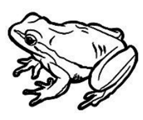 भ्यागुता